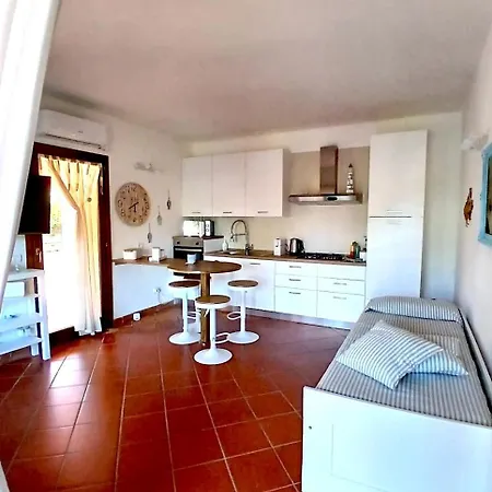 Misuaglia 308